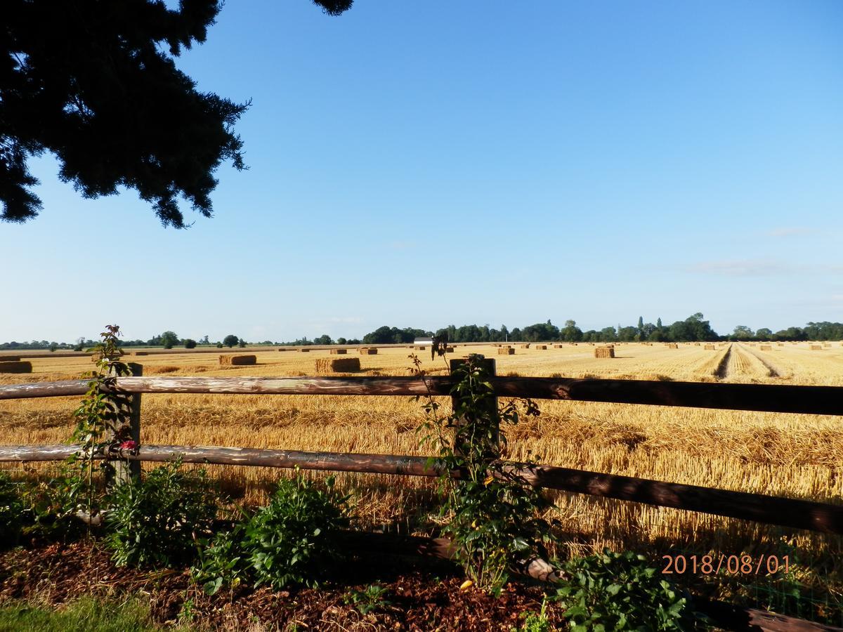 ลา แฟร์ม เดอ ลา กรงด์ Villa Magny-en-Bessin ภายนอก รูปภาพ